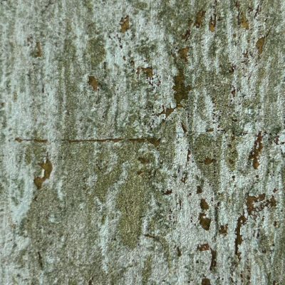 Vải dán tường hiệu ứng sơn PE10-P1H